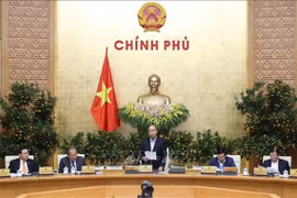 Gobierno de Vietnam prioriza combate contra el nCoV y busca paliar su impacto en economía