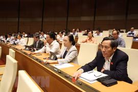 Parlamento de Vietnam discuten borrador de Ley de prevención contra las drogas (enmendada)