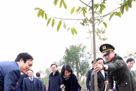 Vicepresidenta de Vietnam lanza festival de plantación de árboles