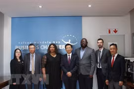 Promueven relación económica entre Vietnam y Sudáfrica