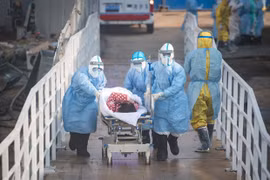 Evalúa Vietnam medidas para mitigar impacto de coronavirus en el turismo