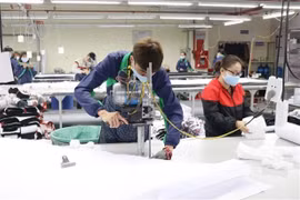 Disminuye intercambio comercial entre Vietnam y Laos por COVID-19