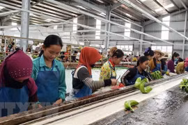 Banco asiático aprueba préstamos millonario para desarrollo agrícola en Camboya
