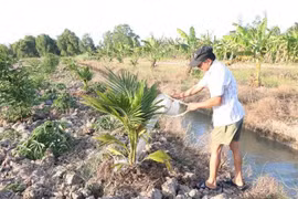 India financia siete proyectos de agua en el Delta del Mekong