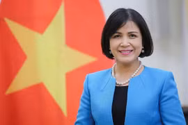 Promueve Vietnam cooperación internacional en el desminado humanitario