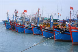 Vietnam se esfuerza para luchar contra pesca ilegal, afirmó Foreign Affair Asia