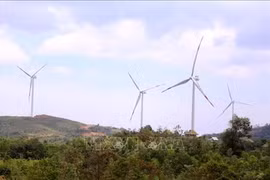 Arranca en provincia vietnamita de Quang Tri construcción de nuevas plantas de energía eólica 