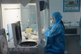 Con 11 nuevos casos de COVID-19, Da Nang activa blindaje contra epidemia 