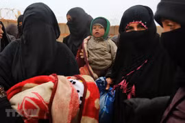 Vietnam pide mayor asistencia humanitaria a Siria