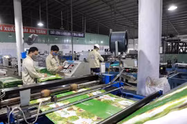 Banco Mundial destaca oportunidades de Vietnam en captar inversiones foráneas