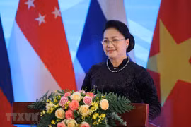 2020: Hito especial en desempeño de la Asamblea Nacional de Vietnam