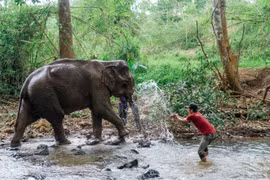 Ingresa Camboya 25 millones de dólares por ecoturismo en nueve meses 