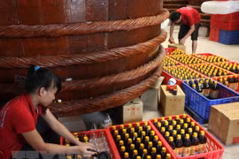 Vietnam beneficiado por el reconocimiento de las indicaciones de origen
