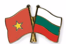 Efectuarán actividades en saludo al 70 aniversario de nexos diplomáticos Vietnam- Bulgaria