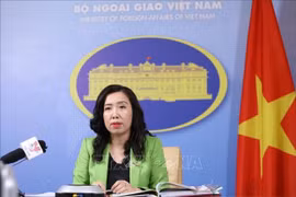 Realiza Embajada de Vietnam en Japón la protección ciudadana