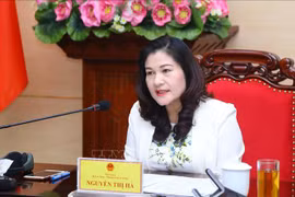 Anuncian encuesta nacional sobre trabajo infantil de Vietnam