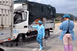 Vietnam y China buscan recuperar intercambio comercial 