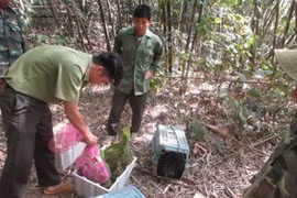 Liberan en Vietnam animales salvajes al Parque Nacional Bu Gia Map