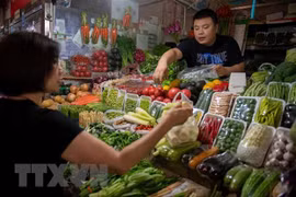 Exportadores vietnamitas de verduras y frutas por ampliar cuota en Tailandia