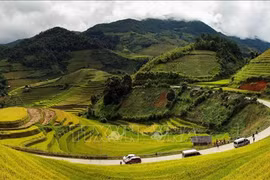 Show de realidad colombiano se filmará en 22 provincias vietnamitas