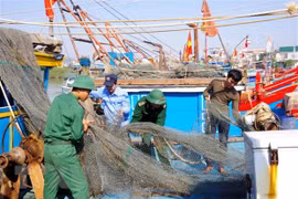 Premier de Vietnam exige adoptar medidas urgentes para enfrentar el tifón Vamco