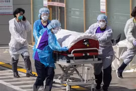 Embajada en Suiza recomienda a vietnamitas evitar viajes a zonas de coronavirus