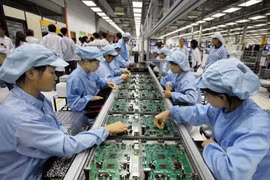 Vietnam publicará Libro Blanco de Corporativas 