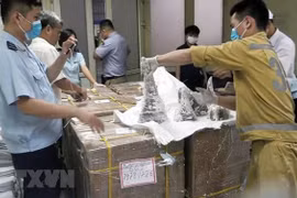 Vietnam enjuicia a acusado en red de comercio ilegal de cuernos de rinoceronte