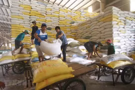 Empresas vietnamitas planean producir mercancías a servicio del Año Nuevo
