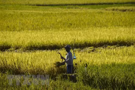 Indonesia espera firmar acuerdo RCEP este año