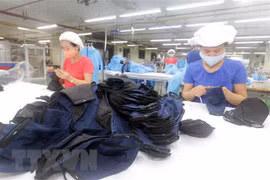 Vietnam exporta casi 416 millones de mascarillas para ayudar a otros países a combatir COVID-19