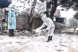 Impulsa Hanoi prevención del contagio de la gripe aviar A/H5N6