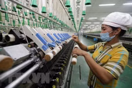 Pronóstico del BAD sobre economía de Vietnam se basa en puntos brillantes del panorama nacional