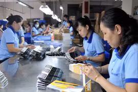 Provincia vietnamita de An Giang promueve medidas para crear empleos