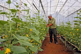 Fortalecen negocios sostenibles en Vietnam para elevar competitividad en mercado mundial
