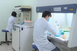 Vietnam se libra de importar kits de prueba rápida para el COVID-19