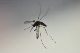 Laos confirma 54 nuevos casos y una muerte por dengue