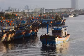 Revisan la pesca con responsabilidad en localidades centrales de Vietnam
