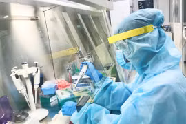 Vietnam amanece sin casos nuevos del COVID-19