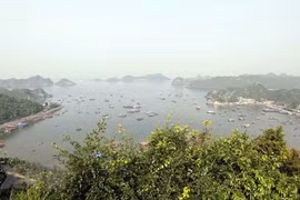 Destacan contribución de Vietnam a la conservación de las reservas de la biosfera