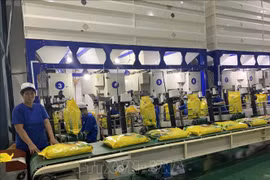 Vietnam por garantizar normas sobre la certificación de arroz aromático exportable a la UE