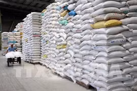 Agrega Vietnam 38 mil toneladas de arroz a su cuota de exportación en abril