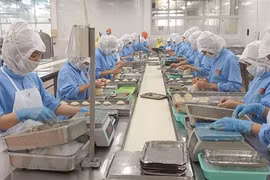 Exportaciones de productos acuícolas de Vietnam a China enfrentan dificultades por el COVID-19
