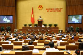 Prosigue Asamblea Nacional de Vietnam su IX perído de sesiones