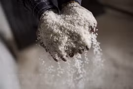 Enfrentarán exportaciones de arroz de Tailandia dificultades en 2020