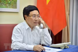 Vietnam dispuesto a cooperar con Irlanda en enfrentamiento a COVID-19