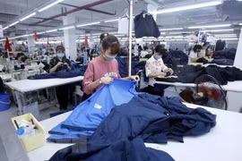 Destacan en la República Checa perspectivas del comercio con Vietnam tras el EVFTA 