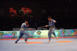 La quintaesencia de las artes marciales tradicionales de Vietnam 