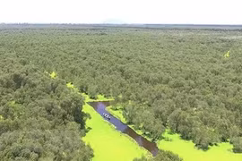Día Mundial del Medio Ambiente 2020 se centrará en la biodiversidad