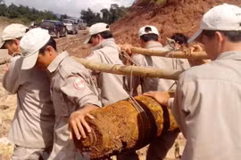 Destacan aportes de Organización no gubernamental de Peace Trees Vietnam